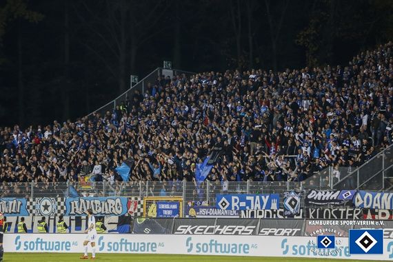SV Darmstadt 98 vs Hamburger SV (1-1) (23)