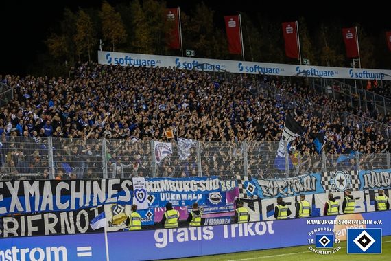 SV Darmstadt 98 vs Hamburger SV (1-1) (25)