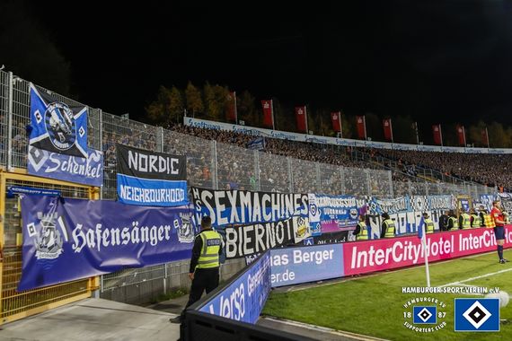 SV Darmstadt 98 vs Hamburger SV (1-1) (26)