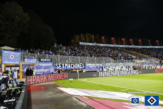 SV Darmstadt 98 vs Hamburger SV (1-1) (27)