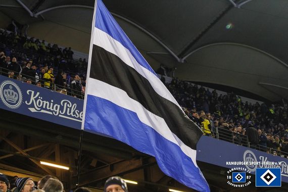Hamburger SV vs Borussia Dortmund (3-1) (2)