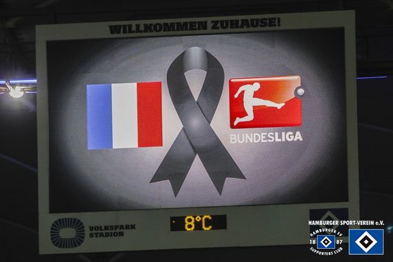Hamburger SV vs Borussia Dortmund (3-1) (5)