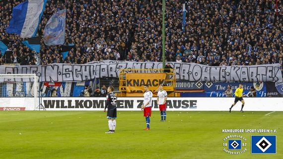 Hamburger SV vs 1. FSV Mainz 05 (1-3) (9)