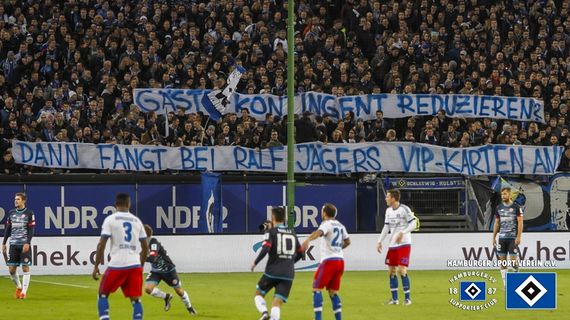 Hamburger SV vs 1. FSV Mainz 05 (1-3) (11)