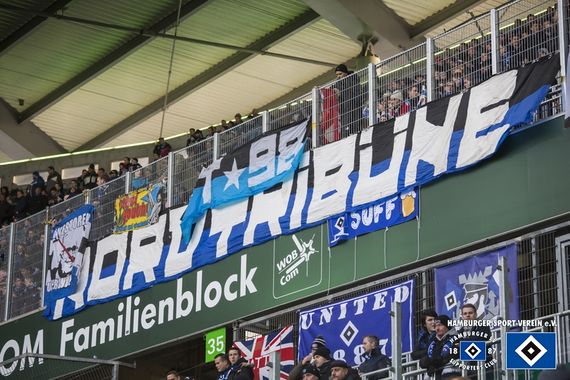 VfL Wolfsburg vs Hamburger SV (1-1) (5)