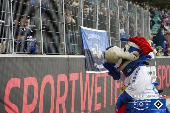 VfL Wolfsburg vs Hamburger SV (1-1) (6)
