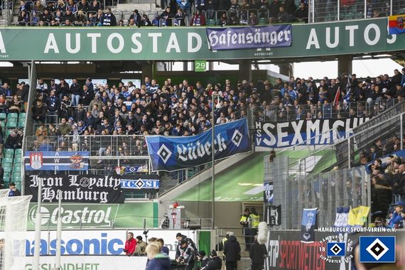 VfL Wolfsburg vs Hamburger SV (1-1) (7)