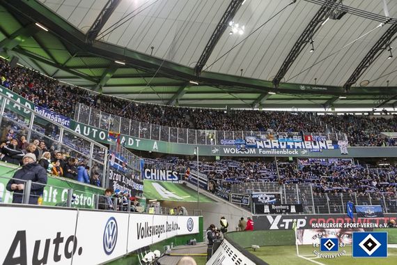 VfL Wolfsburg vs Hamburger SV (1-1) (9)