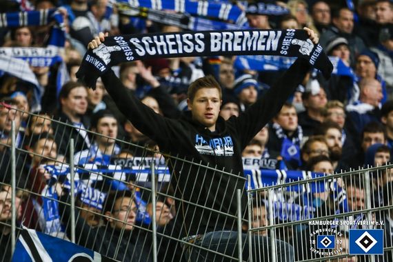 VfL Wolfsburg vs Hamburger SV (1-1) (10)