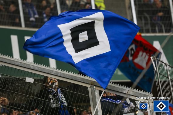 VfL Wolfsburg vs Hamburger SV (1-1) (11)