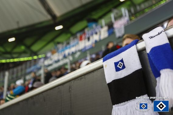 VfL Wolfsburg vs Hamburger SV (1-1) (13)