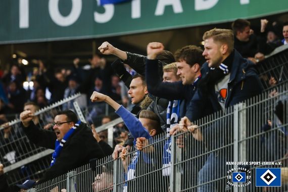 VfL Wolfsburg vs Hamburger SV (1-1) (15)