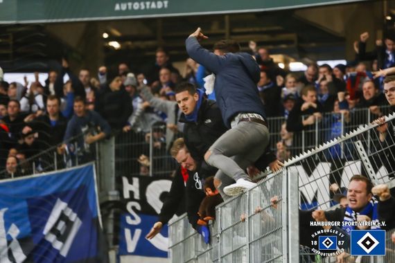 VfL Wolfsburg vs Hamburger SV (1-1) (16)