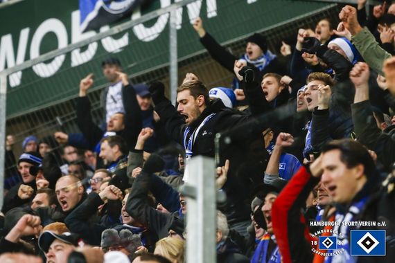 VfL Wolfsburg vs Hamburger SV (1-1) (17)
