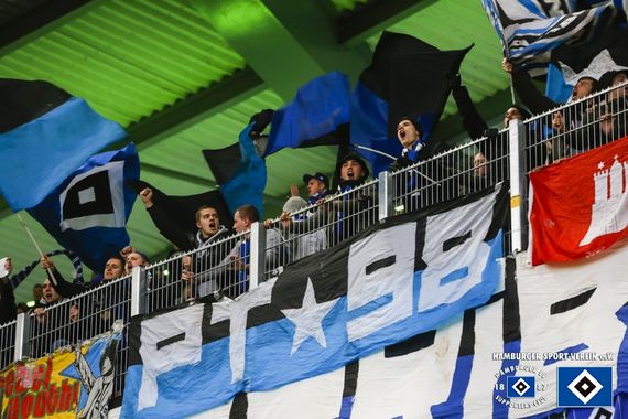 VfL Wolfsburg vs Hamburger SV (1-1) (18)