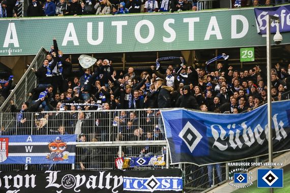 VfL Wolfsburg vs Hamburger SV (1-1) (20)