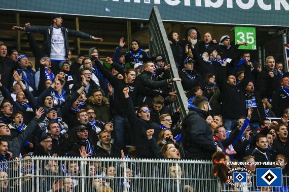 VfL Wolfsburg vs Hamburger SV (1-1) (22)