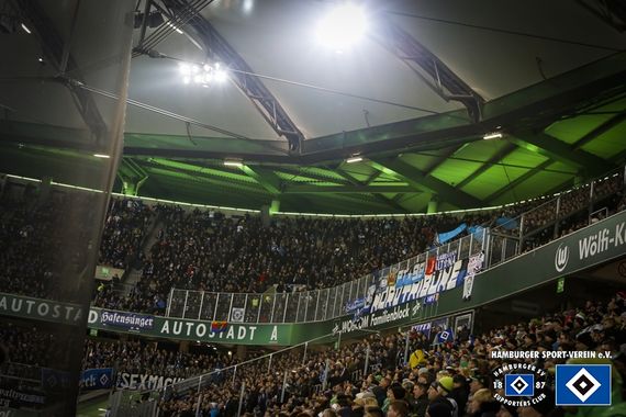 VfL Wolfsburg vs Hamburger SV (1-1) (23)