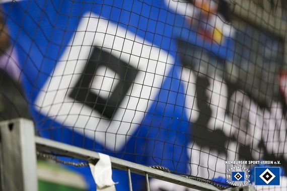 VfL Wolfsburg vs Hamburger SV (1-1) (24)