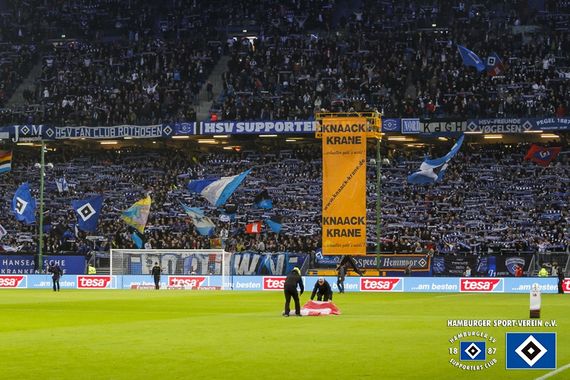 Hamburger SV vs FC Augsburg (0-1) (18)