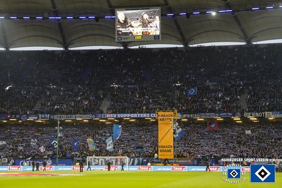 Hamburger SV vs FC Augsburg (0-1) (19)