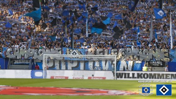 Hamburger SV vs VfB Stuttgart (3-2) (9)