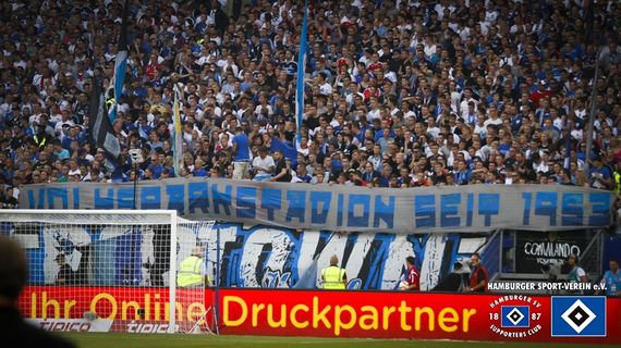 Hamburger SV vs VfB Stuttgart (3-2) (14)