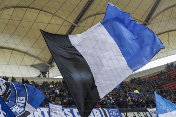 Hamburger SV vs FC Ingolstadt 04 (1-1) (10)