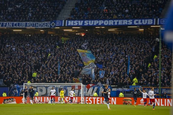 Hamburger SV vs Hertha BSC (2-0) (10)