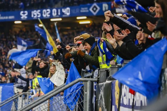 Hamburger SV vs Hertha BSC (2-0) (15)