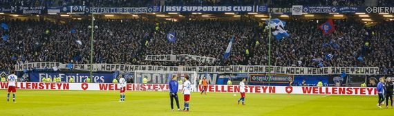 Hamburger SV vs Hertha BSC (2-0) (22)