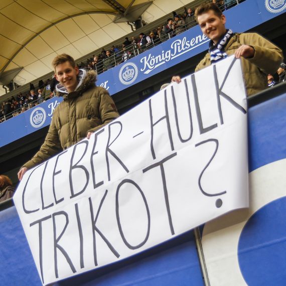 Hamburger SV vs TSG Hoffenheim (1-3) (19)