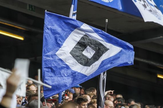 Hamburger SV vs SV Darmstadt 98 (1-2) (2)
