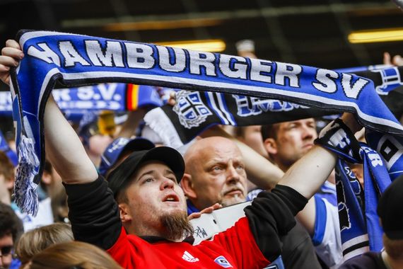 Hamburger SV vs SV Darmstadt 98 (1-2) (5)