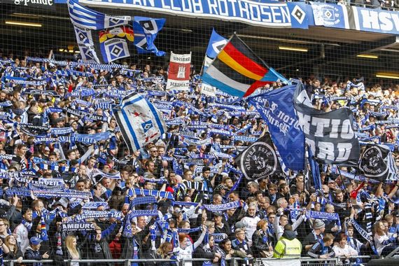 Hamburger SV vs SV Darmstadt 98 (1-2) (8)