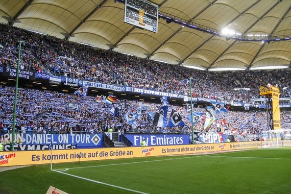 Hamburger SV vs SV Darmstadt 98 (1-2) (11)