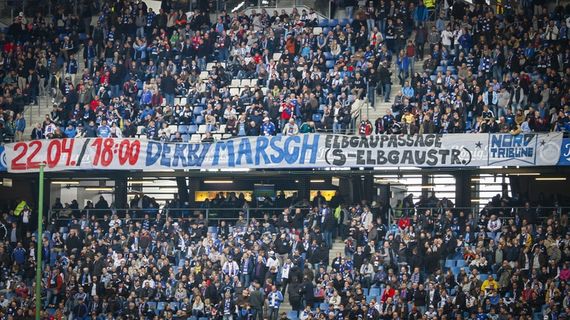 Hamburger SV vs SV Darmstadt 98 (1-2) (15)