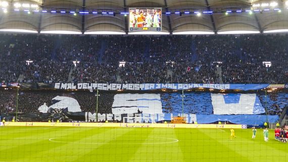 Hamburger SV vs Werder Bremen (2-1) (24)