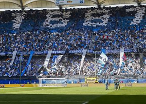 Hamburger SV vs VfL Wolfsburg (0-1)