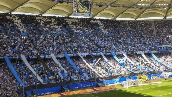 Hamburger SV vs VfL Wolfsburg (0-1) (3)