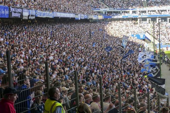 Hamburger SV vs VfL Wolfsburg (0-1) (7)