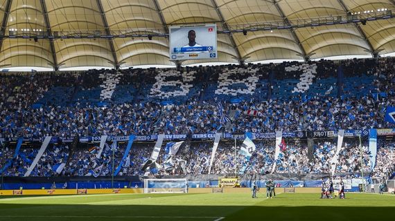 Hamburger SV vs VfL Wolfsburg (0-1) (15)