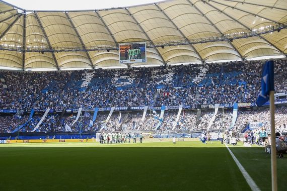 Hamburger SV vs VfL Wolfsburg (0-1) (16)