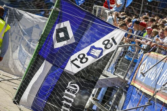 Hamburger SV vs VfL Wolfsburg (0-1) (17)