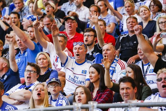 Hamburger SV vs VfL Wolfsburg (0-1) (20)