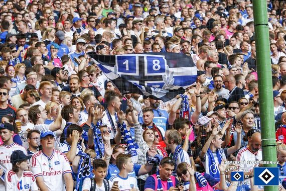 Hamburger SV vs FC Ingolstadt 04 (1-1) (1)