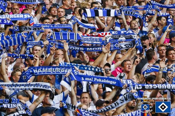 Hamburger SV vs FC Ingolstadt 04 (1-1) (4)