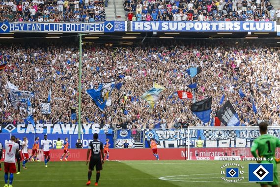 Hamburger SV vs FC Ingolstadt 04 (1-1) (11)