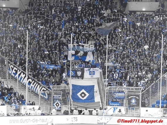 TSG Hoffenheim vs Hamburger SV (2-2) (6)