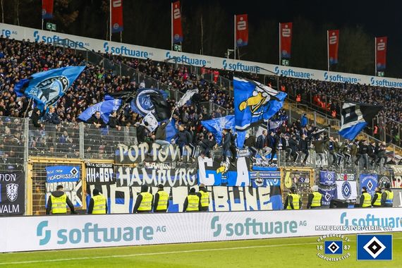 SV Darmstadt 98 vs Hamburger SV (0-2) (1)